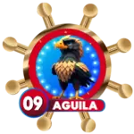 Aguila