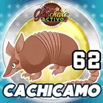 Lotería de animalitos Guacharo Activo : Estadísticas de la lotería de ...