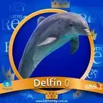 Delfin