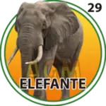 Elefante