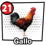 Gallo