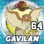 Gavilan