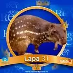 Lapa