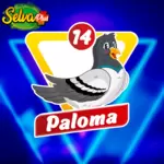 Paloma