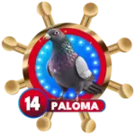 Paloma