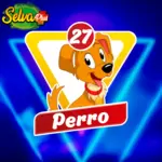 Perro