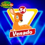 Venado